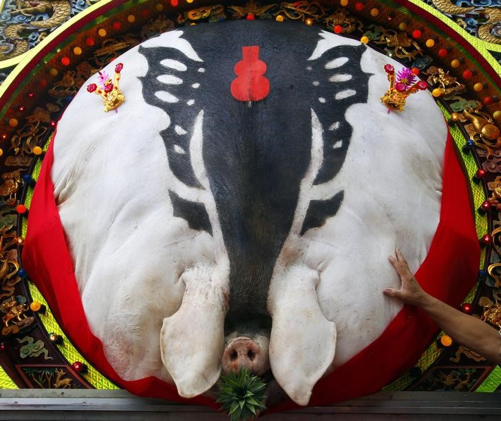 “Lợn thần” ở đây là những con lợn được vỗ béo hết mức để xẻ thịt chào mừng năm mới theo truyền thống của người Hẹ (Hakka) thông qua lễ hội rước heo thiêng ở Đài Loan.