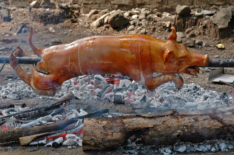 Lí do cuối cùng thuộc về bản năng tình dục của loài lợn. Trong các gia súc, đây là loài động vật duy nhất có xu huớng trao đổi bạn tình như một thuộc tính cố hữu. Xét về mặt đạo đức thì hành động này không thể chấp nhận trong đạo Hồi.
