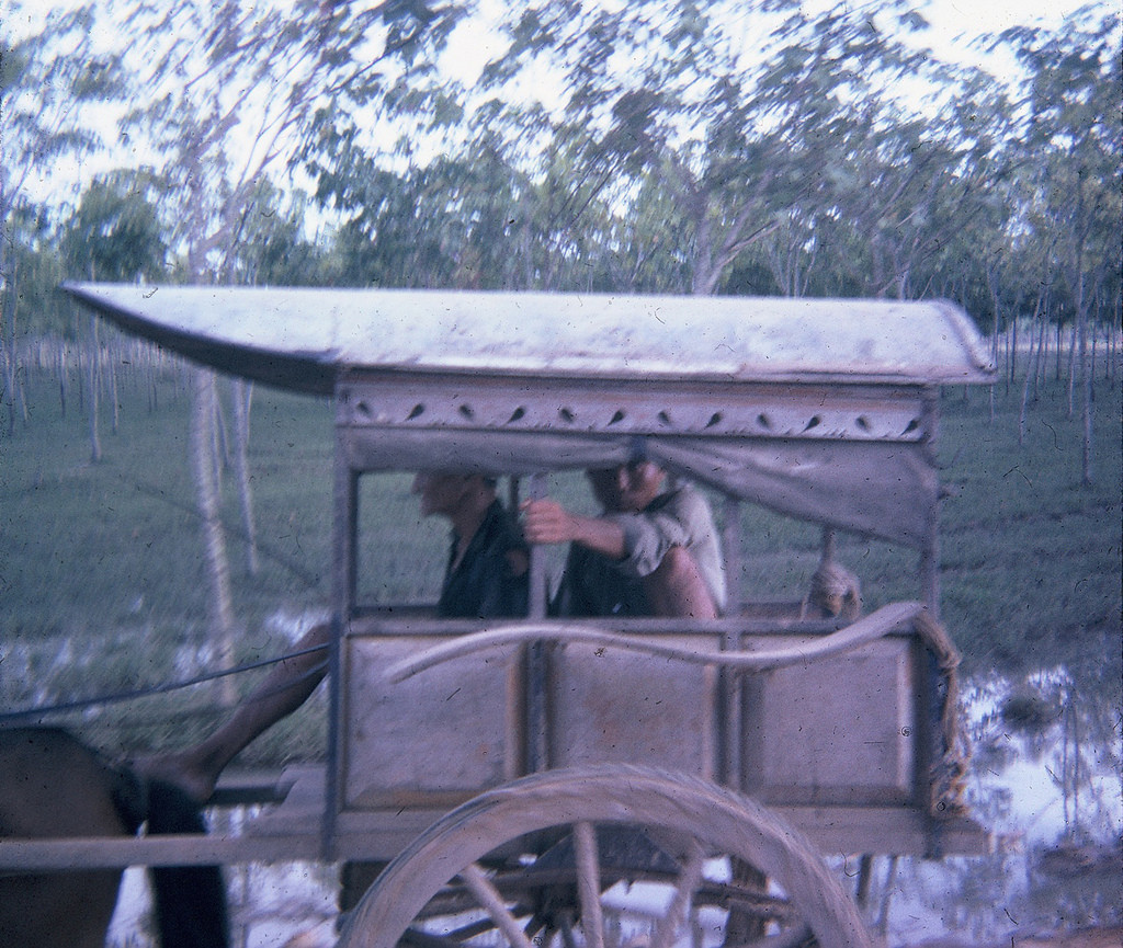 Người khách ngồi trong xe ngựa tò mò nhìn vào ống kính máy ảnh. Ảnh: Allen Hinnman.