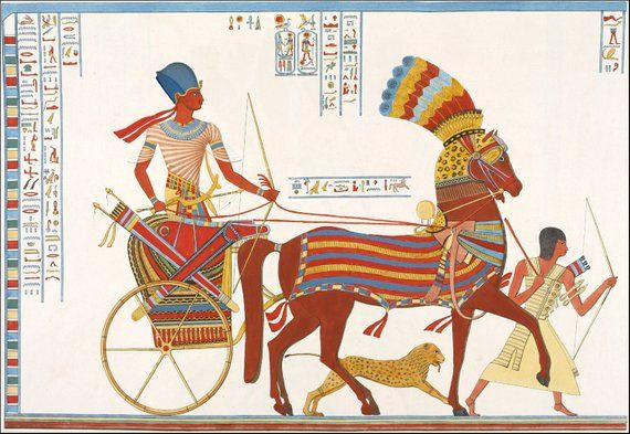 Vì địa hình của vương quốc Ai Cập không thích hợp để triển khai chiến xa hạng nặng, người Ai Cập dùng xe ngựa kéo như những bệ bắn di động thay vì dùng chúng để tấn công trực diện quân thù.