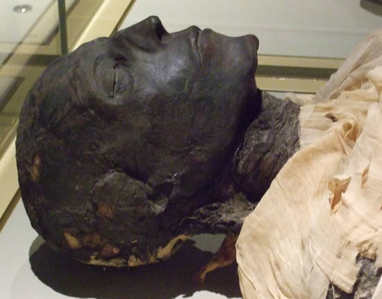 Đến khoảng năm 1860, xác ướp pharaoh Ramesses I lênh đênh trên biển nhiều tháng trời để đến Mỹ cùng tiến sĩ James Douglas.