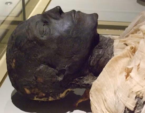 Đến khoảng năm 1860, xác ướp pharaoh Ramesses I lênh đênh trên biển nhiều tháng trời để đến Mỹ cùng tiến sĩ James Douglas.