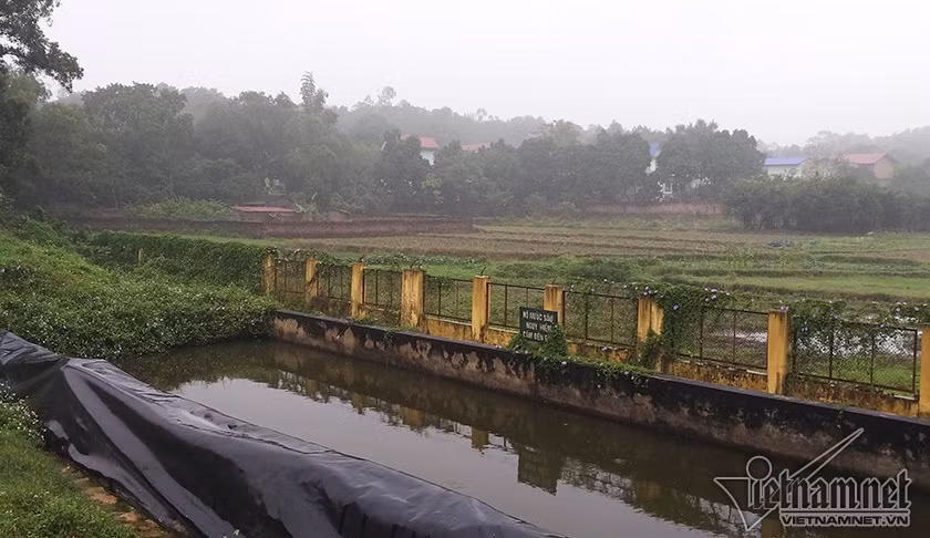 Can canh bai rac lon nhat thu do khien dan Soc Son chan duong-Hinh-5