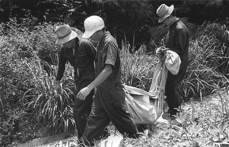 Vu an “sat nhan dem mua” chan dong Hong Kong-Hinh-2