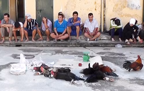 An Giang bac tin con trai Pho Bi thu Tinh uy to chuc da ga, danh bac