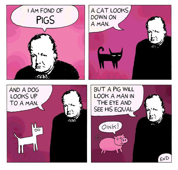 Thủ tưởng Anh Winston Churchill có một câu nói nổi tiếng "Con chó ngước lên nhìn chúng ta. Con mèo nhìn xuống chúng ta, còn con lợn thì coi chúng ta là ngang hàng".