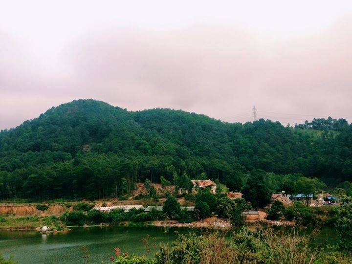 Với chiều cao khoảng 462 mét, đỉnh núi này từng giữ ngôi vị “nóc nhà” của Hà Nội trong nhiều thập niên, trước khi nhường danh hiệu này cho đỉnh Vua ở Ba Vì khi Hà Tây sát nhập vào Hà Nội. Ảnh: ELLE.