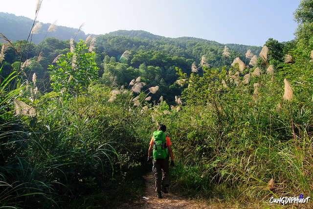 Khoảng một thập niên trước, vùng núi Hàm Lợn vẫn còn rất hoang vu, hầu như không có ai lui tới. Ảnh: Cùng Đi Phượt.