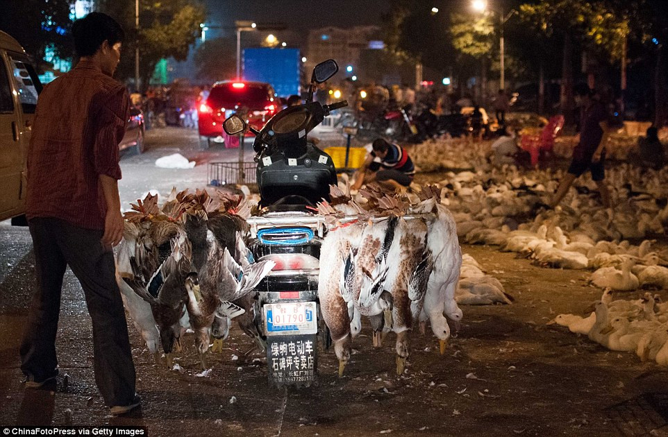 Vi sao co tuc giet vit cung le dip Tet Vu Lan?