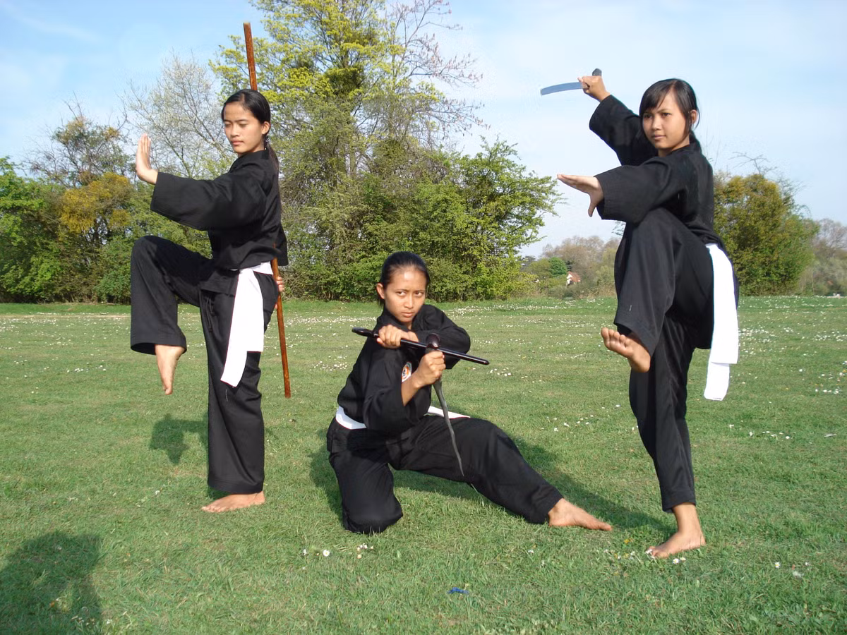 Theo truyền thống thì môn Silat được tập luyện theo kiểu có nhịp điệu dưới hình thức có vũ khí, trường côn hoặc tay không. Silat chính tông thường dùng rất nhiều đòn chỏ và gối. Ảnh: Pinterest.