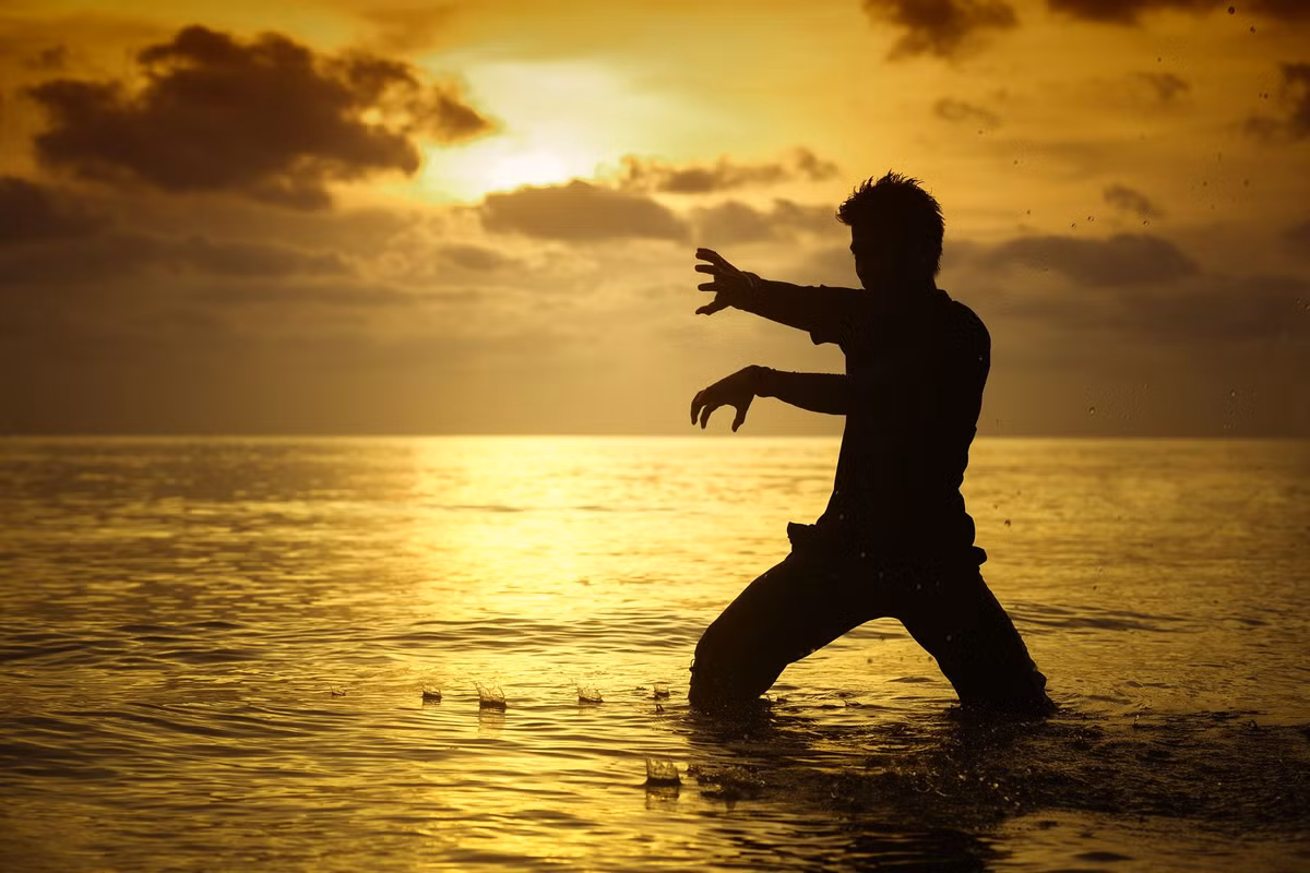 Tuy nhiên theo các nhà học giả nghiên cứu về võ thuật thì Pencak Silat có thể có nguồn gốc từ võ thuật Trung Hoa, bởi có những đòn đánh mang dấu ấn của nền võ thuật này. Ngoài ra, cũng có khả năng Pencak Silat chịu ảnh hưởng từ võ thuật Ấn Độ. Ảnh: Pinterest.