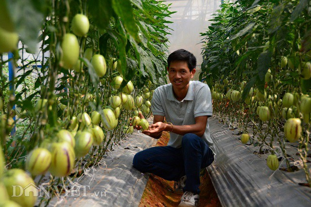 Lac vao the gioi trong nhieu loai qua sieu doc la cua chang ky su tre