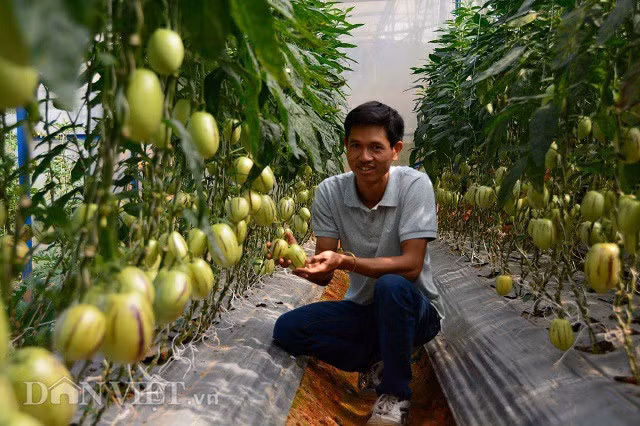 Lac vao the gioi trong nhieu loai qua sieu doc la cua chang ky su tre