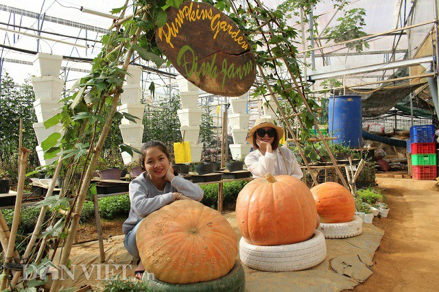 Lac vao the gioi trong nhieu loai qua sieu doc la cua chang ky su tre-Hinh-2