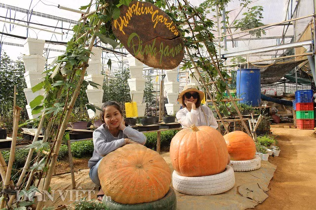 Lac vao the gioi trong nhieu loai qua sieu doc la cua chang ky su tre-Hinh-2