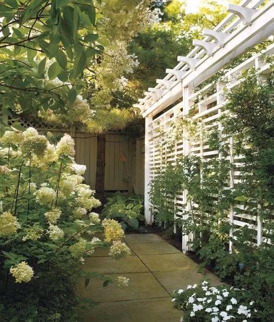 Khu vườn tràn ngập hoa cẩm tú cầu khiến ai nấy đều mê mẩn.