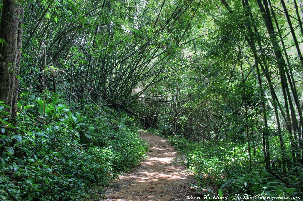Hoạt động của viên tướng cảnh sát Thái Lan đã vi phạm nghiêm trọng Luật Lâm nghiệp, Luật Công viên Quốc gia, Đạo luật bảo vệ và khuyến khích chất lượng môi trường và bảo tồn rừng. Ảnh: The Road to Anywhere.