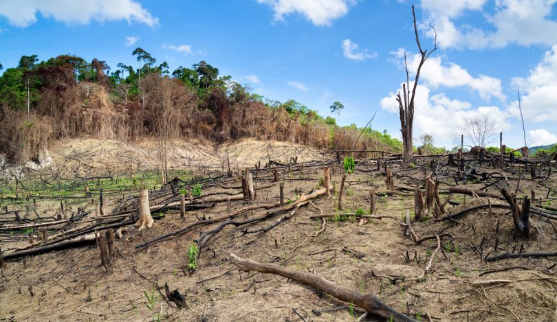 Lệnh này nói rằng ông Pongdet đã vi phạm kỷ luật nghiêm trọng và có hành vi lấn chiếm rừng, theo đơn khiếu nại tới cảnh sát Wang Nam Khieo vào ngày 6/2/2017. Ảnh: Macmillan.