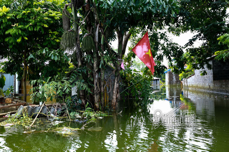 Mọi ngóc ngách trong xóm đâu đâu cũng nhìn thấy rác thải.