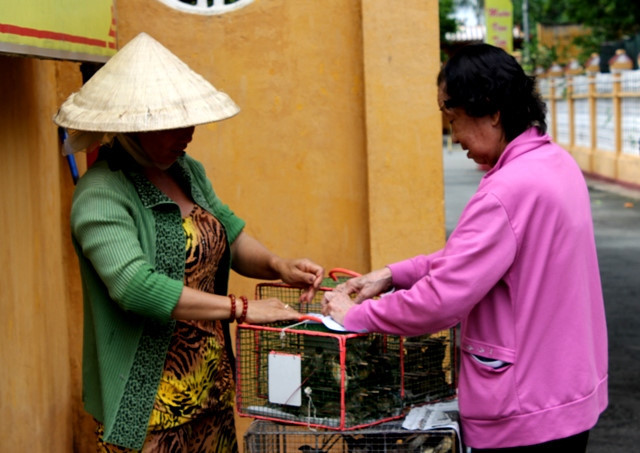 2. Đạo Phật coi trọng phóng sinh tùy duyên, nghĩa là thấy động vật đang gặp nạn thì cứu giúp ngay khi đó. Chủ động đi tìm mua vật để phóng sinh là một sự "ép duyên", người theo Phật giáo không nên phóng sinh kiểu này. Ảnh: Zing.