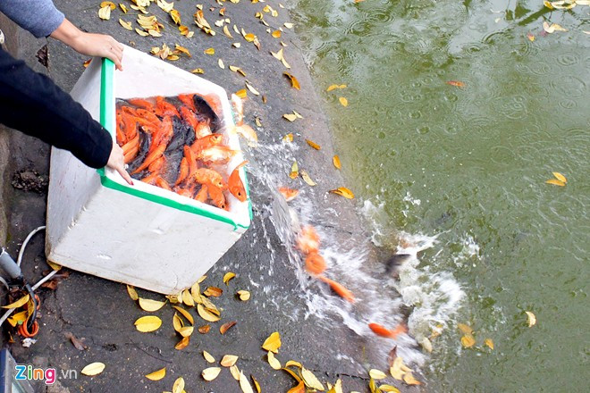 8. Việc phóng sinh nên được thực hiện thầm lặng. Phóng sinh kiểu "màu mè" phô trương đi kèm hoạt động cúng tế ồn ào của một số người có tiền là không đúng với bản chất của việc phóng sinh lễ Vu Lan. Ảnh: Zing.