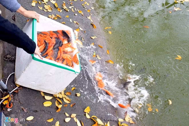 8. Việc phóng sinh nên được thực hiện thầm lặng. Phóng sinh kiểu "màu mè" phô trương đi kèm hoạt động cúng tế ồn ào của một số người có tiền là không đúng với bản chất của việc phóng sinh lễ Vu Lan. Ảnh: Zing.