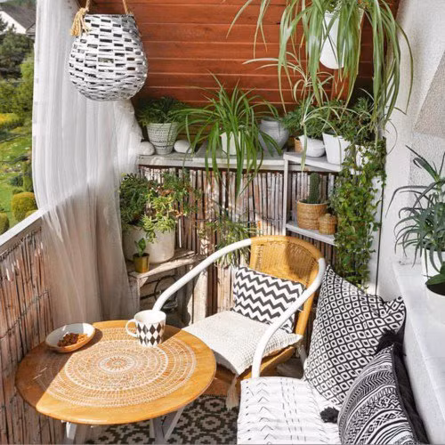 Bộ sưu tập cây và những vật dụng bắt mắt.