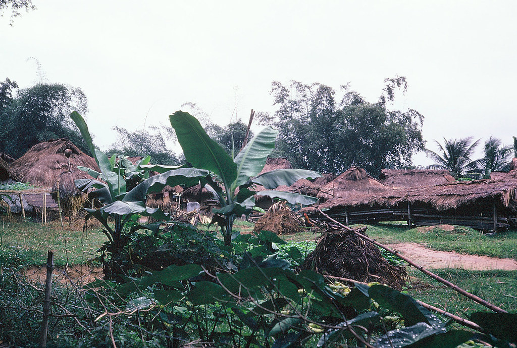 Cảnh làng quê bên ngoài khu căn cứ.