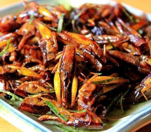 Chau chau thanh dac san, chi em do xo mua lam mon nhau chieu chong