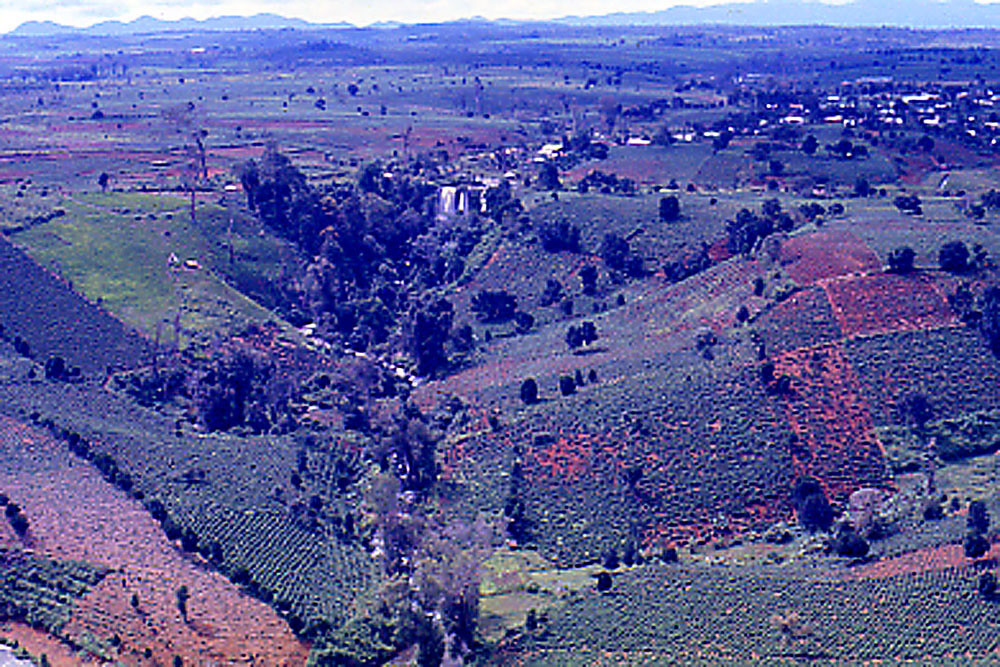 Các đồi chè ở Bảo Lộc.
