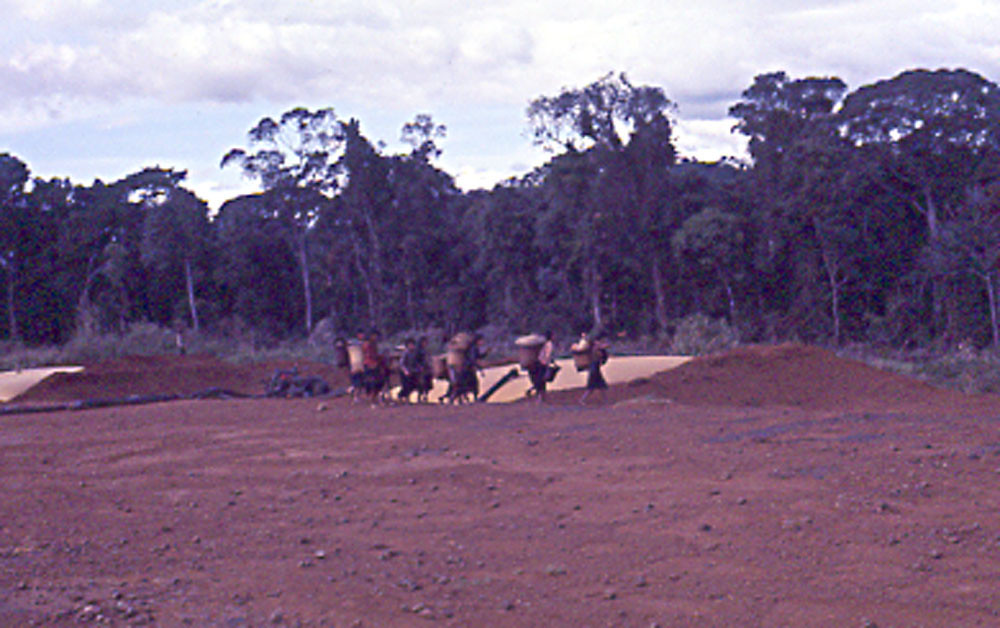 Đồng bào người Thượng tại một khu vực đang được khai hoang ở Bảo Lộc.