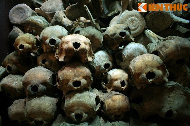 Ngoài ra, dinh có một phòng lưu trữ, bảo tồn chừng 600 bộ hài cốt của các "Ông", "Bà" và "Cậu", là những loài cá lớn như cá voi, cá heo…, được coi như những hải thần phò trợ, cứu mạng người đi biển theo quan niệm của ngư dân.