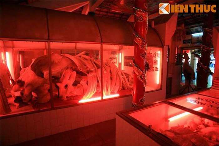 Phía sau các bàn thờ trong chính điện lăng Ông là những bể lớn chứa xương Cá Ông, được thu thập suốt 1 thế kỷ qua ở Vũng Tàu. Trong đó, bàn thờ trung tâm là nơi đặt một bộ xương Cá Ông dài khoảng 18 mét, thuộc về một Cá Ông dạt vào bãi biển Tầm Dương cách đây hơn 100 năm.