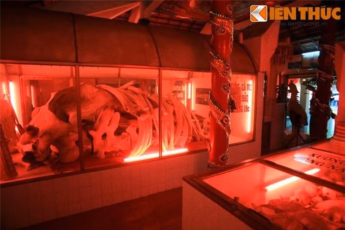 Phía sau các bàn thờ trong chính điện lăng Ông là những bể lớn chứa xương Cá Ông, được thu thập suốt 1 thế kỷ qua ở Vũng Tàu. Trong đó, bàn thờ trung tâm là nơi đặt một bộ xương Cá Ông dài khoảng 18 mét, thuộc về một Cá Ông dạt vào bãi biển Tầm Dương cách đây hơn 100 năm.