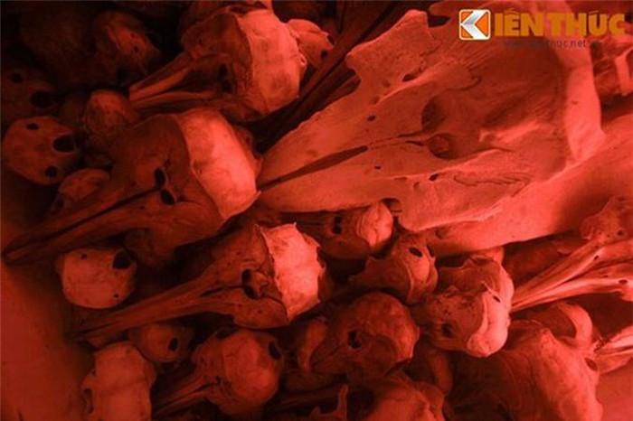 Hai bên bàn thờ chính là các bàn Đông Hiến, Tây Hiến, thờ hàng chục bộ xương Cá Ông về sau này. Các bộ xương ở đây có đủ các kích cỡ, thuộc nhiều loài cá heo, cá voi khác nhau...