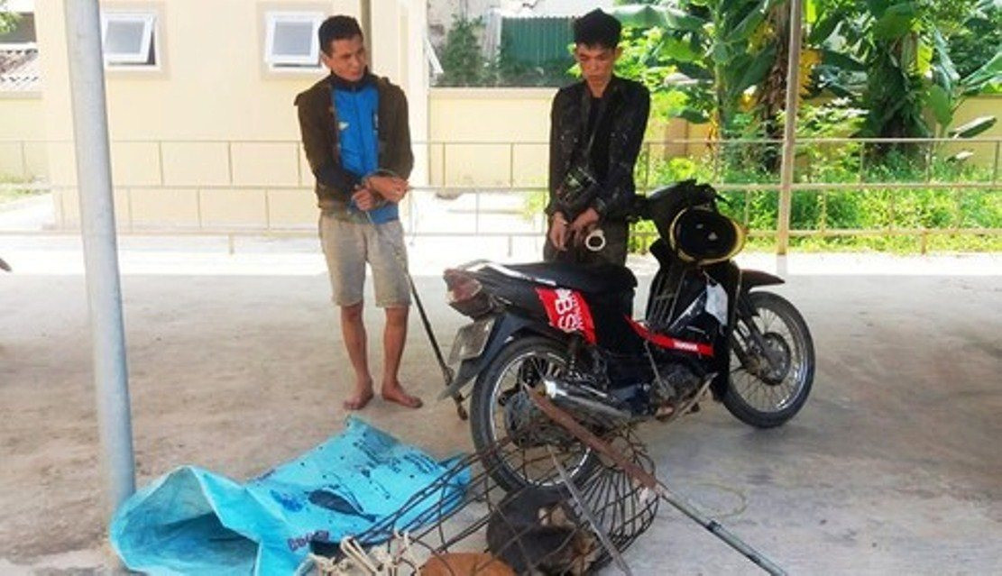 Bi vay bat, 2 “cau tac” dung kiem chong tra cong an