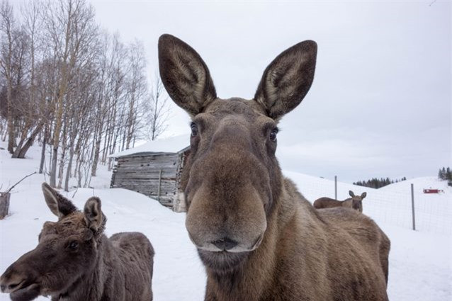 Thu vi khong tuong nhung trang trai doc la nhat the gioi-Hinh-2