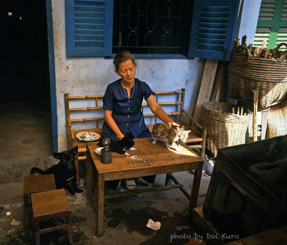 Cụ bà vuốt ve mèo cưng, chó mực ngồi bên cạnh, 1990.