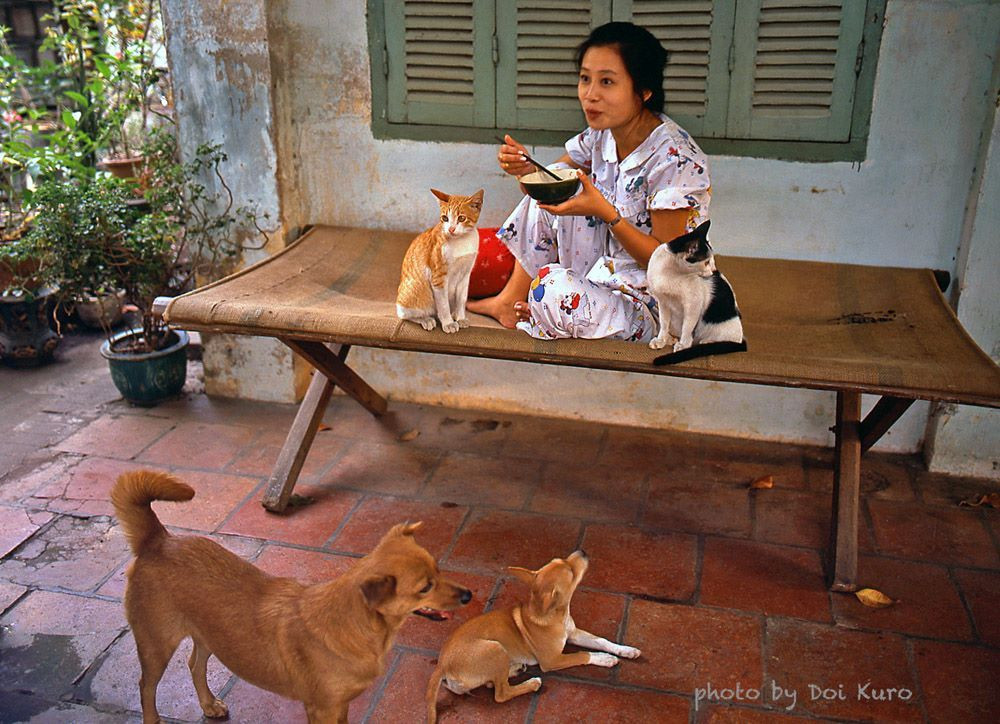 Cô gái Sài Gòn ăn trưa cùng hai chú chó và hai chú mèo cưng, 1990.
