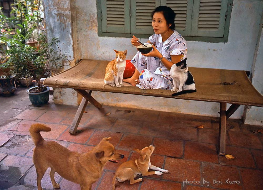 Cô gái Sài Gòn ăn trưa cùng hai chú chó và hai chú mèo cưng, 1990.