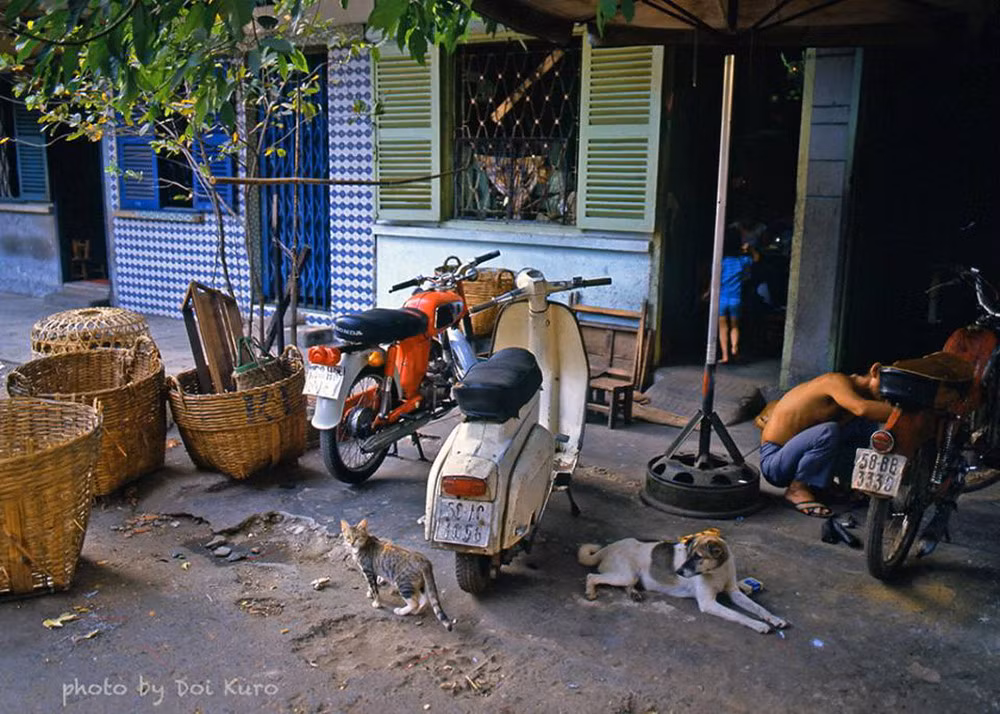 Chó, mèo và những chiếc xe máy, 1990.