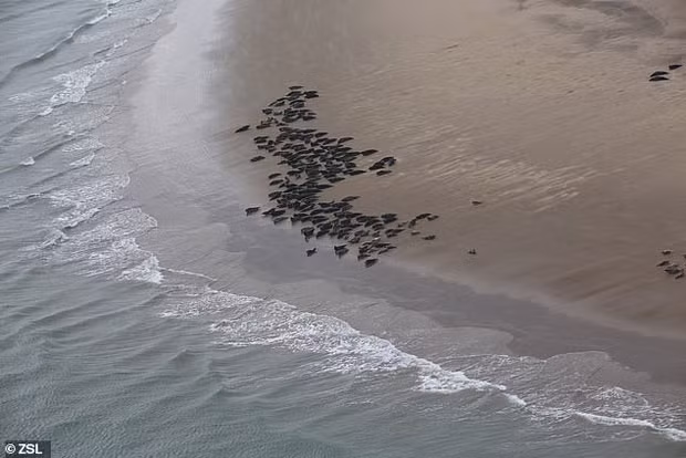 Anh cuc y nghia ben dong song tuyen bo chet 70 nam truoc