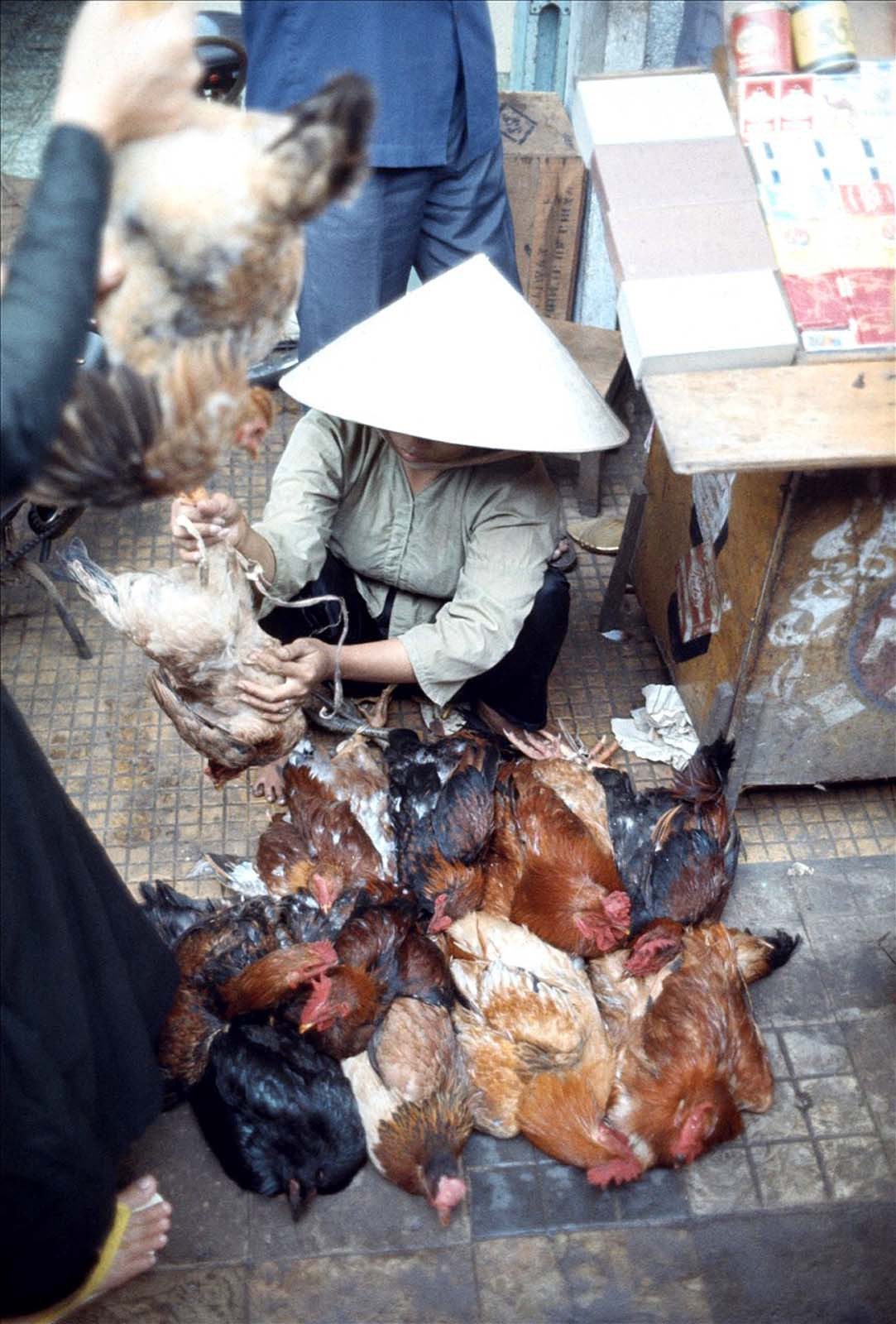 Khách chọn mua gà sống tại một quầy bên đường.