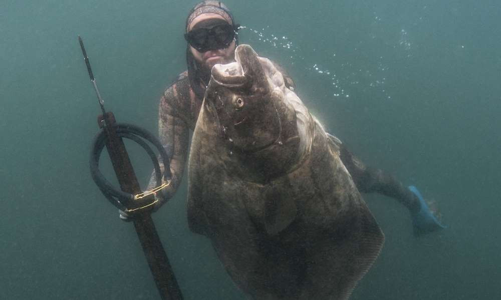 Tho lan cau duoc thuy quai sieu to, khong lo
