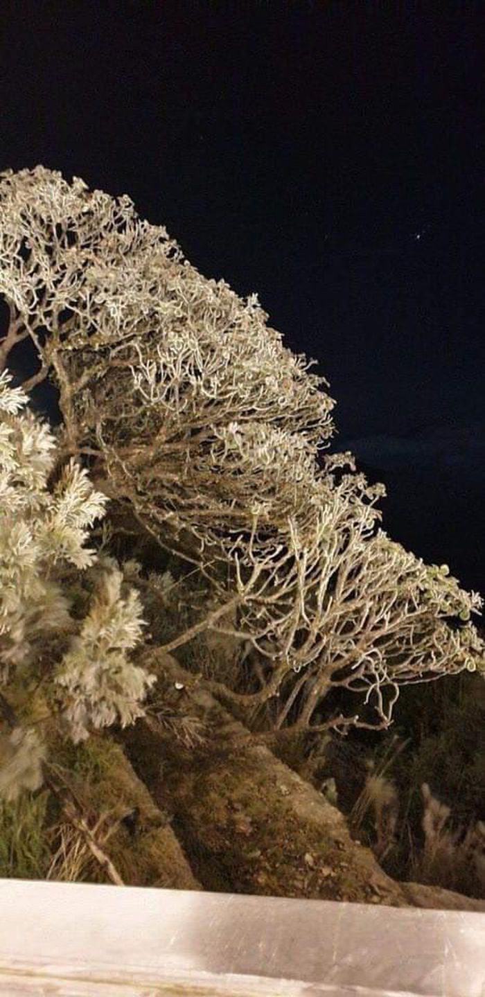 Ùn ùn đặt tour lên Sa Pa, 'ăn ngủ' đỉnh Fansipan chờ 'săn' tuyết - Hình 2 Un un dat tour len Sa Pa, 'an ngu' dinh Fansipan cho 'san' tuyet-Hinh-2