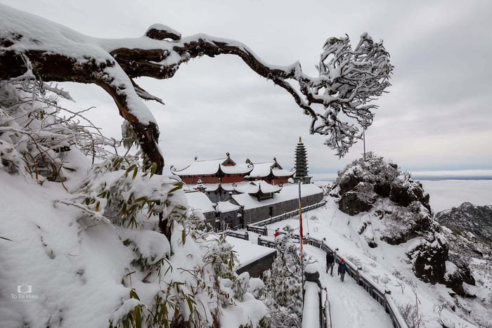Ùn ùn đặt tour lên Sa Pa, 'ăn ngủ' đỉnh Fansipan chờ 'săn' tuyết - Hình 11 Un un dat tour len Sa Pa, 'an ngu' dinh Fansipan cho 'san' tuyet-Hinh-11