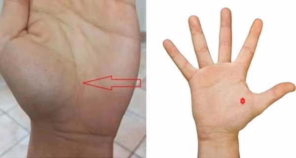 4 dac diem chi xuat hien o ban tay cua nguoi thanh cong