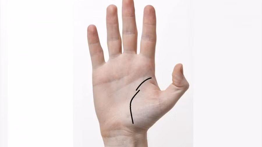 4 dac diem chi xuat hien o ban tay cua nguoi thanh cong-Hinh-3