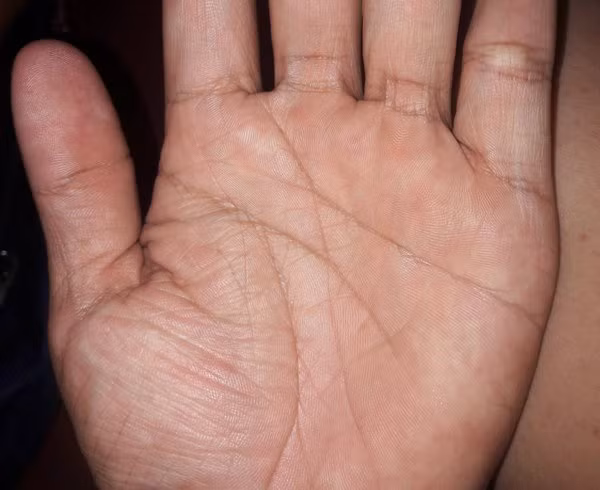 4 dac diem chi xuat hien o ban tay cua nguoi thanh cong-Hinh-2