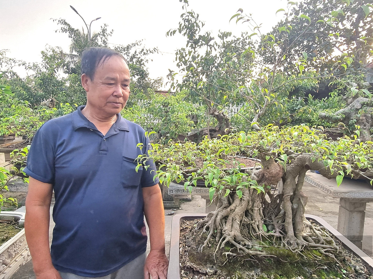 Cach tan 2 cay sanh co thu thanh cong nha dep nhu phim-Hinh-11